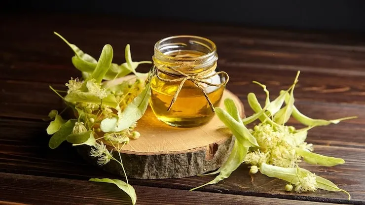 Stillingia extract in glass jar with fresh plant leaves, traditional herbal remedy.