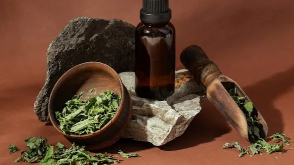 Cleavers extract with green leaves and dark glass bottles, herbal support for lymphatic health.